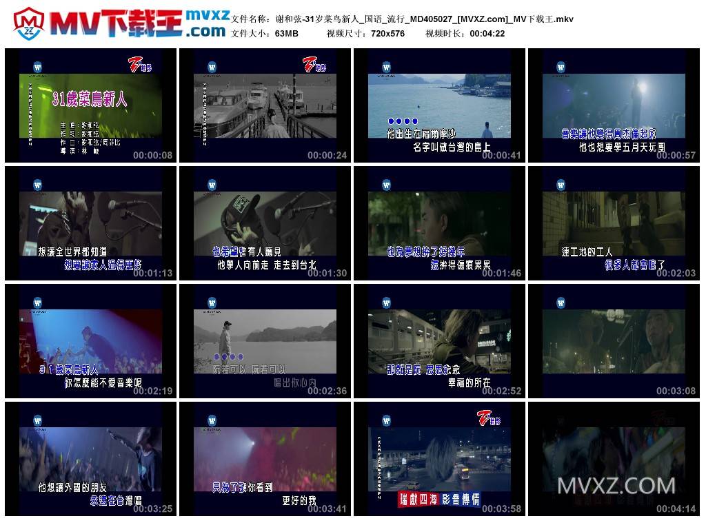 谢和弦-31岁菜鸟新人_国语_流行_MD405027